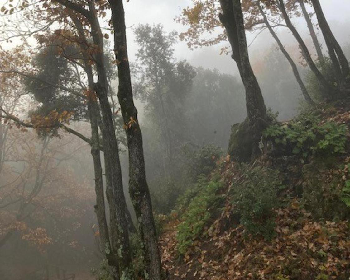 Aurora 2-Bed Cottage - Sleeps 4 - Montseny Park Arbúcies Extérieur photo